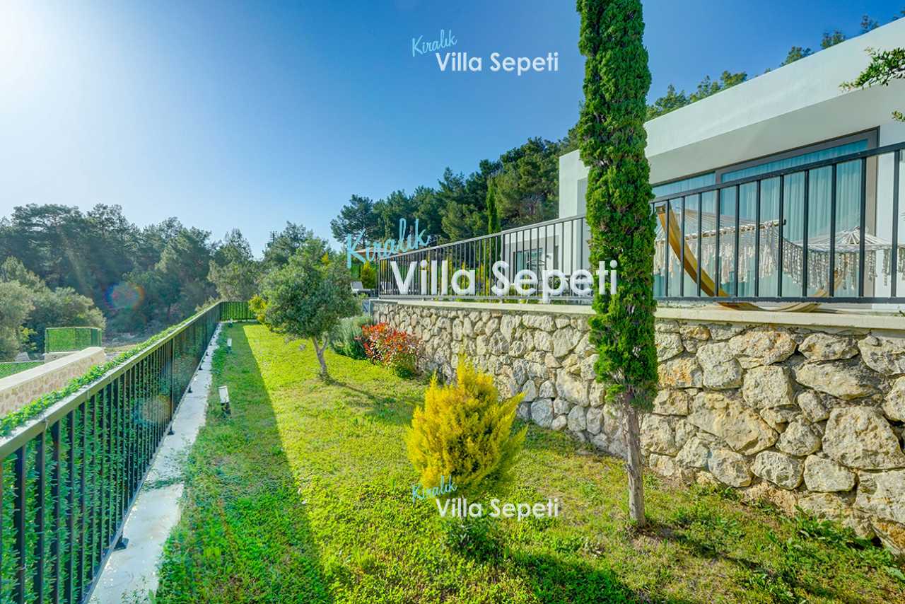 Villa Pluto