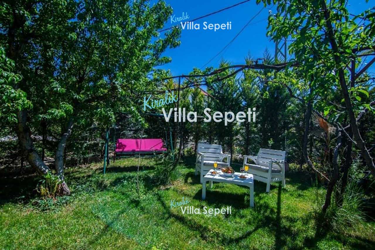 Villa Viral